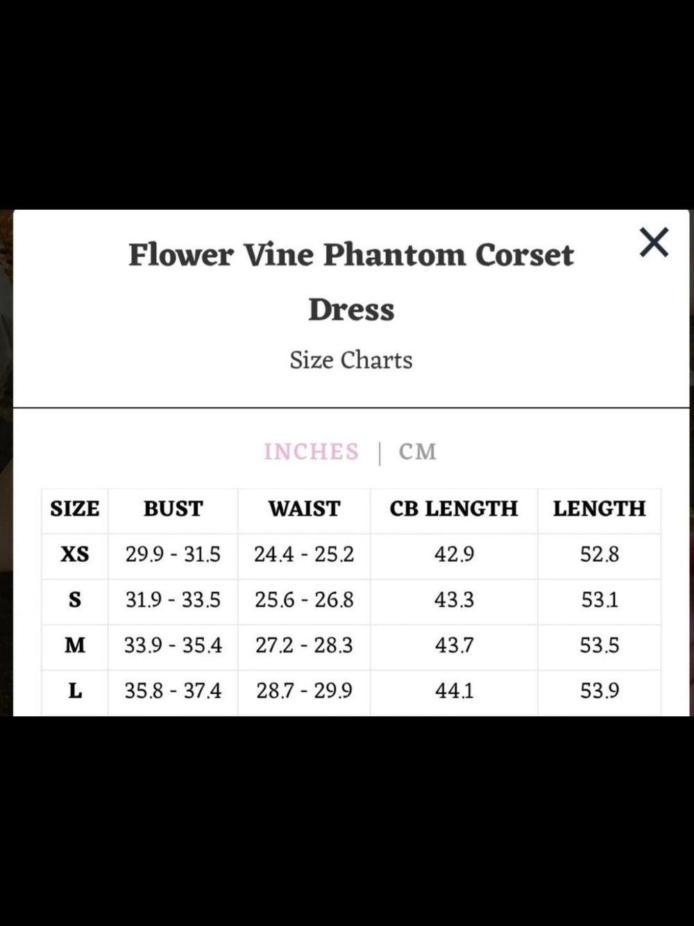 LaceMade Flower Vine Phantom Corset Dress L BNWT - Picture 5 of 5